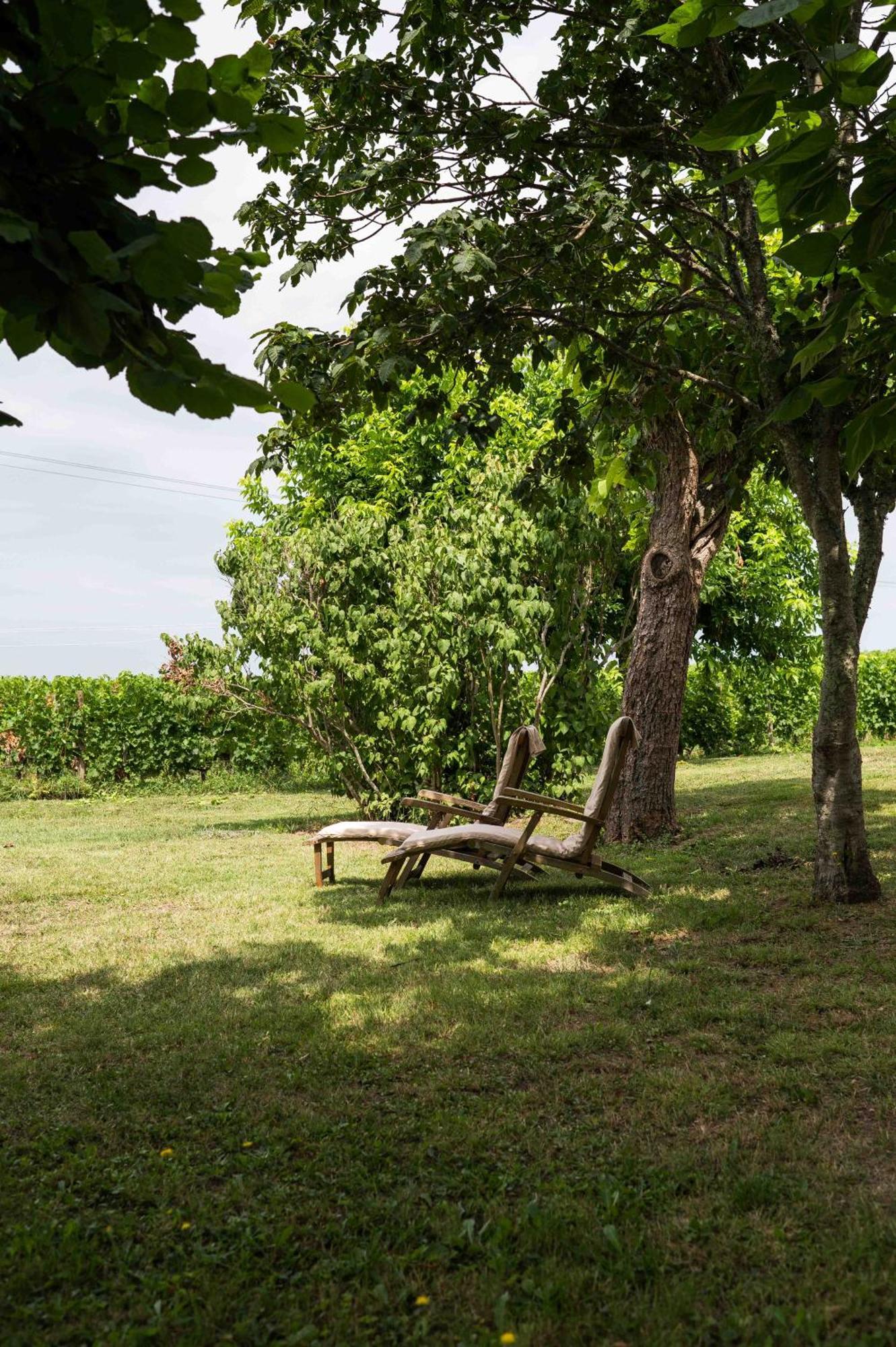 Clos De La Barbanne Montagne  Exterior foto